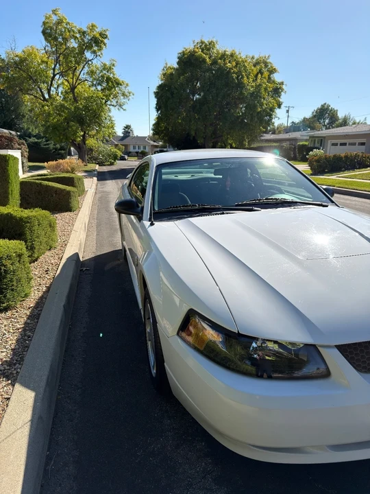 2004 Ford SN95 Mustang - Image 11 of 21