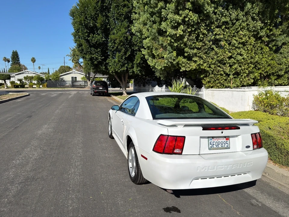 2004 Ford SN95 Mustang - Image 15 of 21