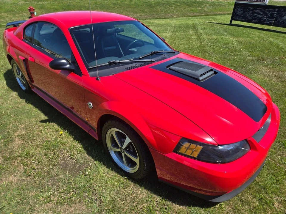 2004 Ford SN95 Mustang - Image 7 of 21