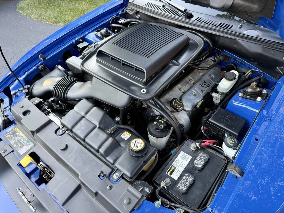 2004 Ford SN95 Mustang - Image 5 of 6
