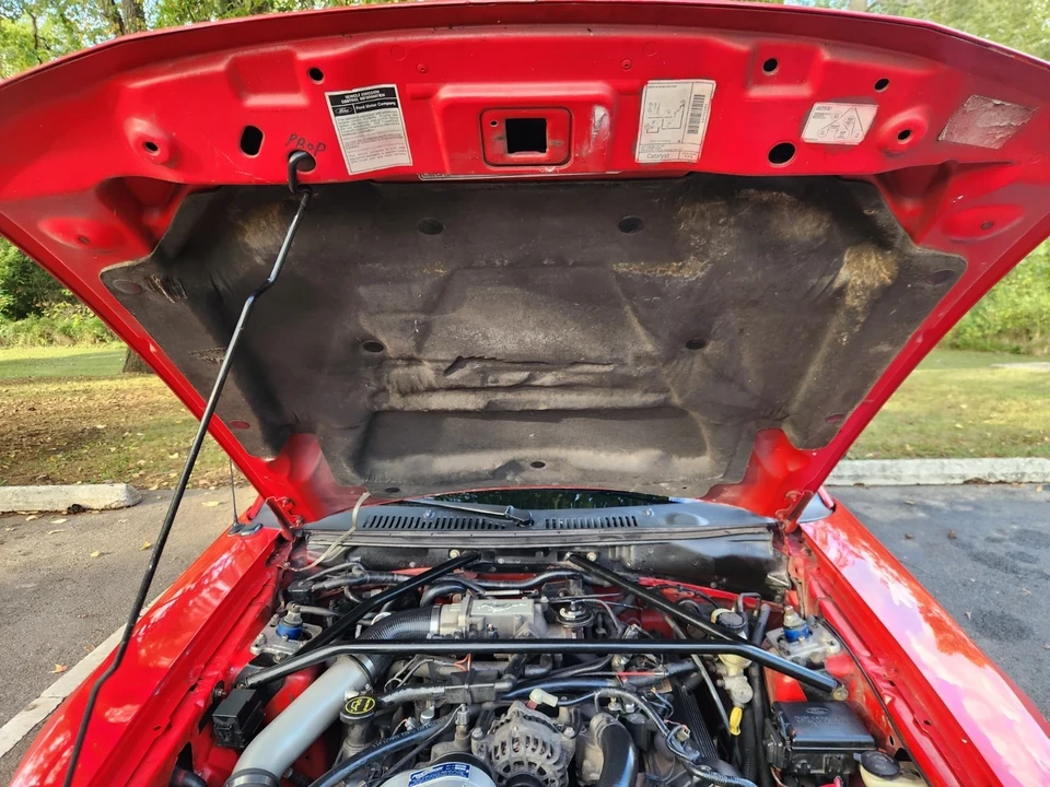 2004 Ford SN95 Mustang - Image 10 of 16