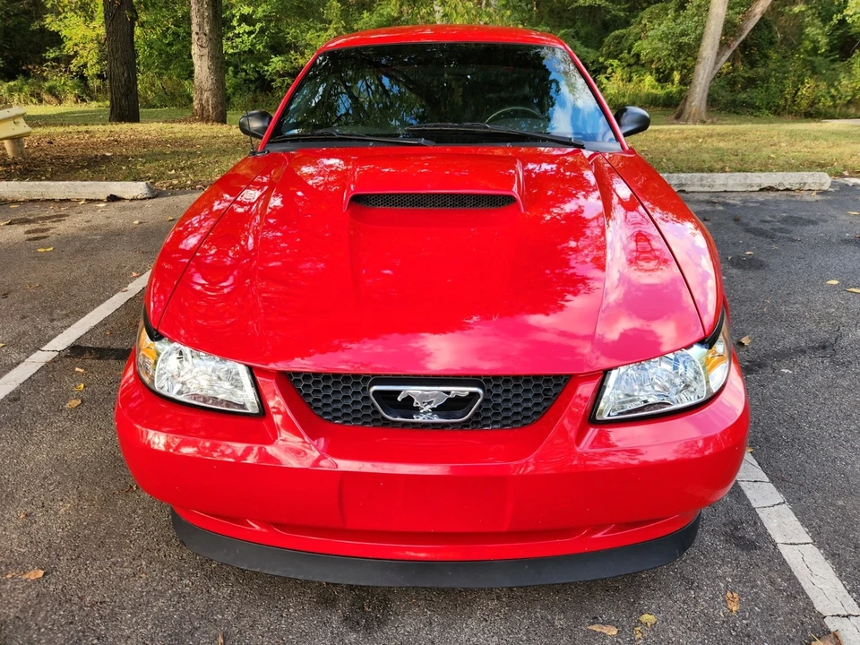 2004 Ford SN95 Mustang - Image 8 of 16