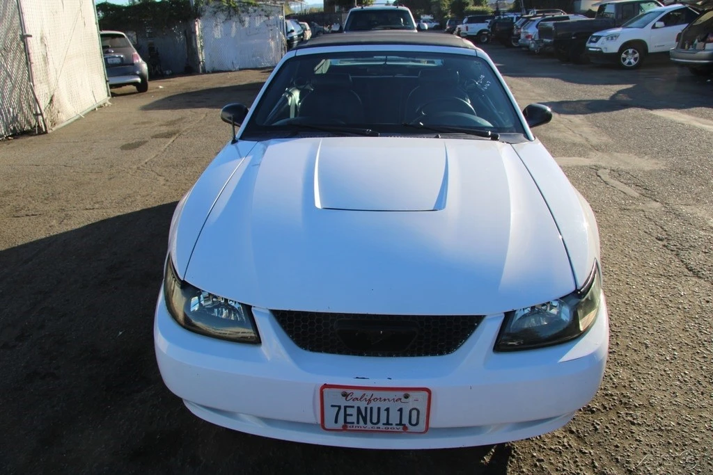 2004 Ford SN95 Mustang - Image 9 of 21