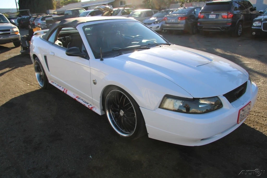 2004 Ford SN95 Mustang - Image 8 of 21