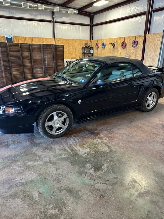 2004 Ford SN95 Mustang - Image 3 of 16