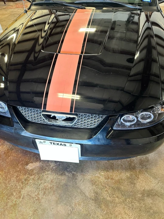 2004 Ford SN95 Mustang - Image 5 of 16