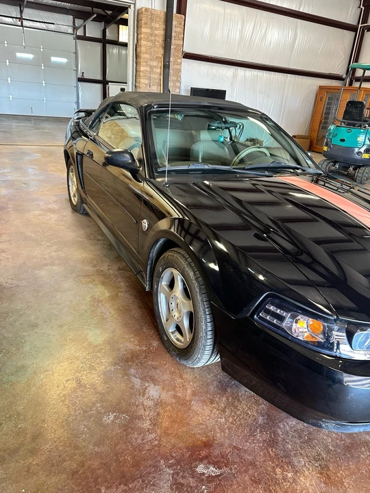 2004 Ford SN95 Mustang - Image 2 of 16