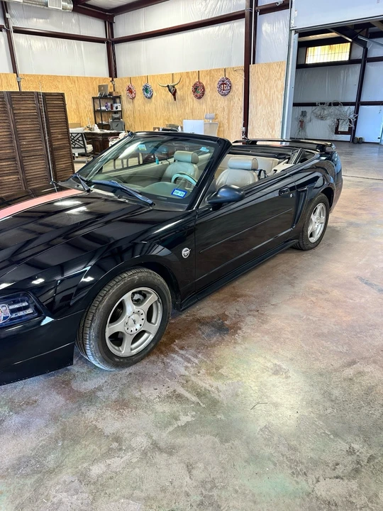 2004 Ford SN95 Mustang - Image 6 of 16