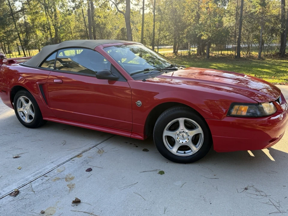 2004 Ford SN95 Mustang - Image 2 of 20