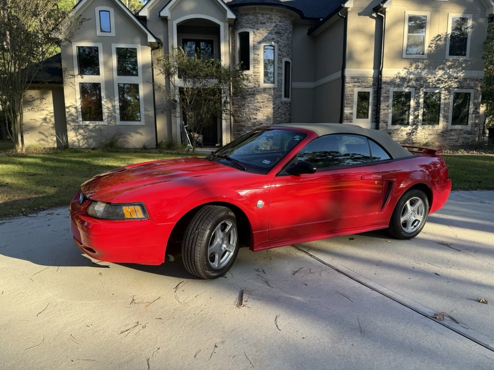 2004 Ford SN95 Mustang - Image 8 of 20