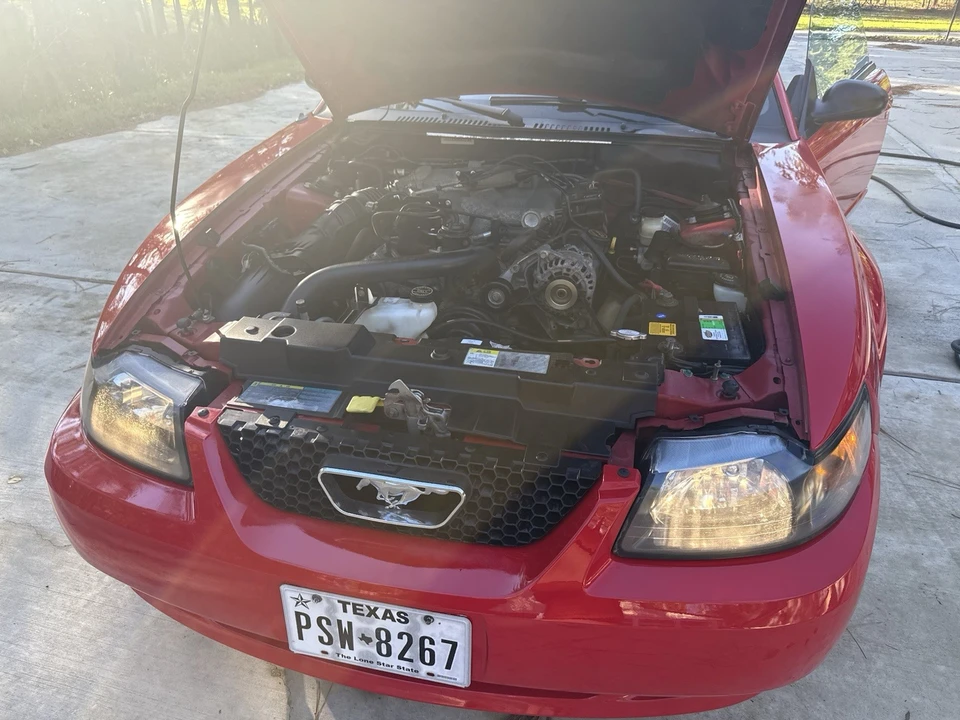 2004 Ford SN95 Mustang - Image 4 of 20