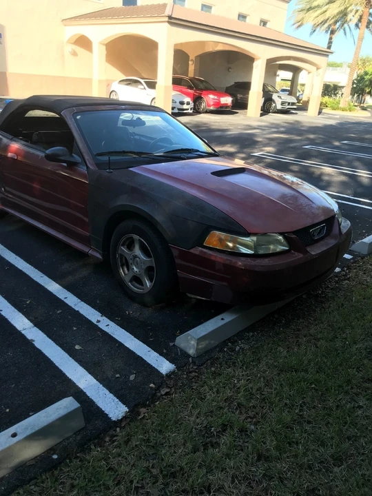 2004 Ford SN95 Mustang - Image 4 of 14