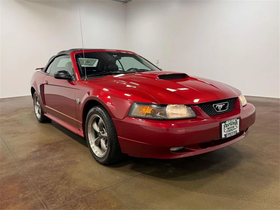 2004 Ford SN95 Mustang - Image 29 of 31