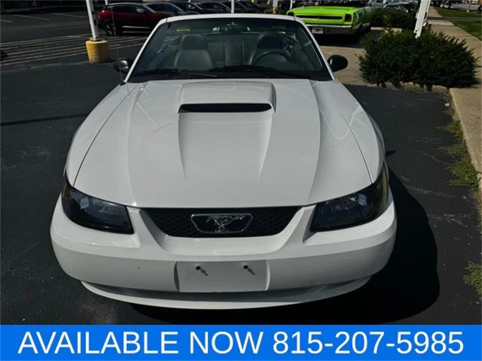 2004 Ford SN95 Mustang - Image 7 of 31