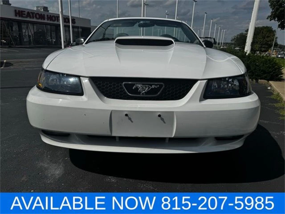 2004 Ford SN95 Mustang - Image 8 of 31