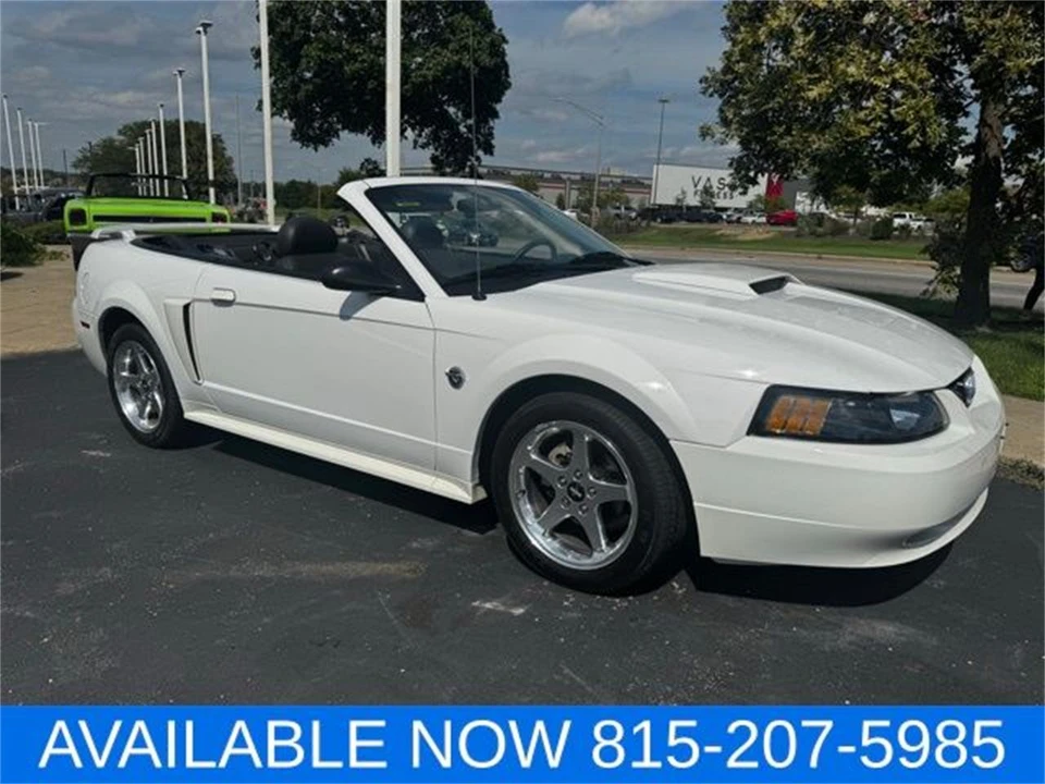2004 Ford SN95 Mustang - Image 15 of 31
