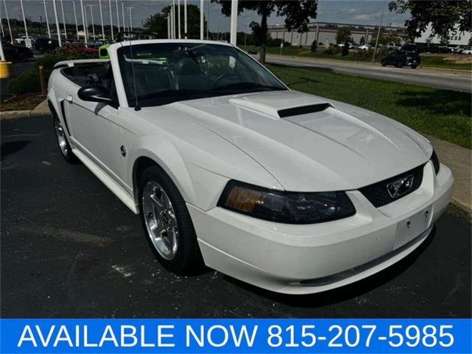 2004 Ford SN95 Mustang - Image 14 of 31
