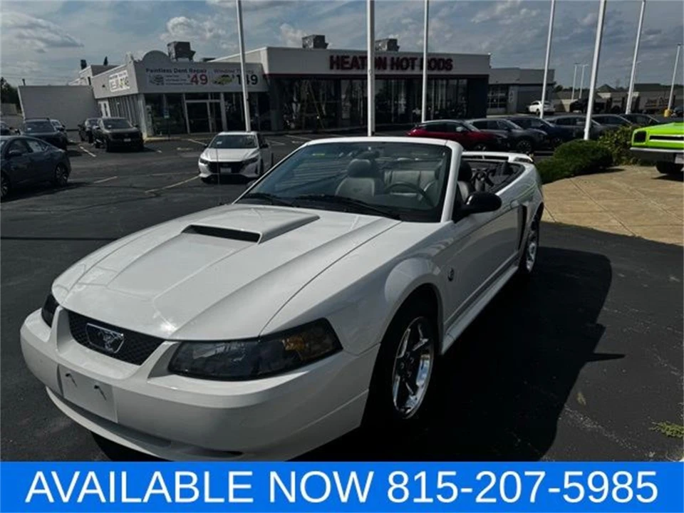 2004 Ford SN95 Mustang - Image 9 of 31