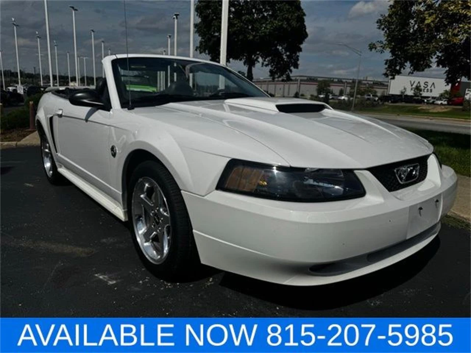2004 Ford SN95 Mustang - Image 13 of 31