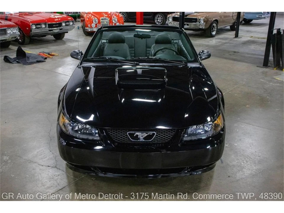 2004 Ford SN95 Mustang - Image 12 of 31