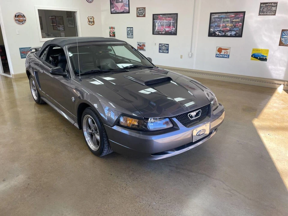 2004 Ford SN95 Mustang - Image 2 of 6