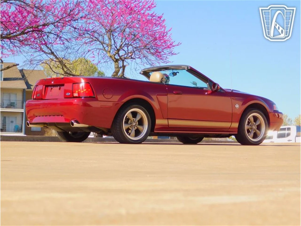 2004 Ford SN95 Mustang - Image 26 of 31