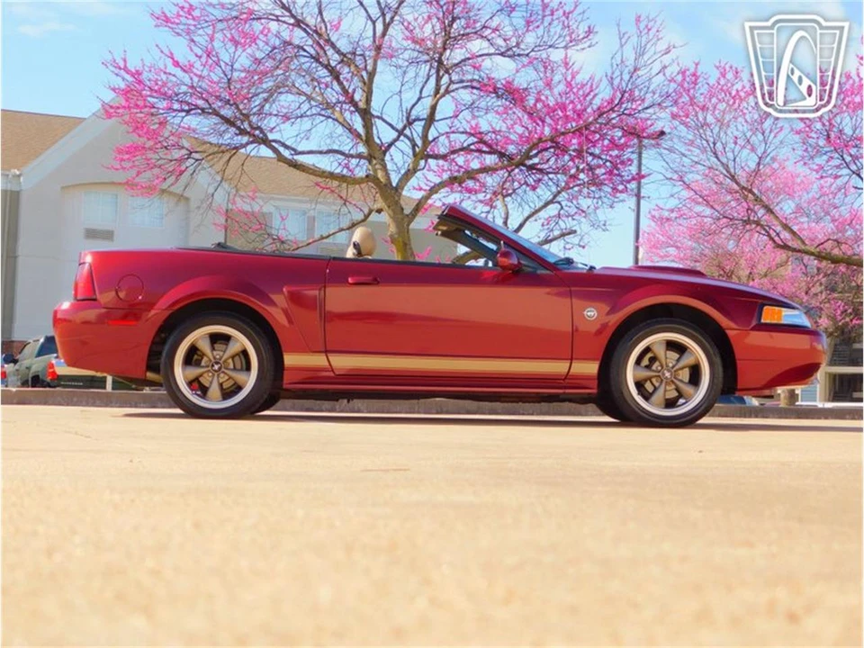 2004 Ford SN95 Mustang - Image 31 of 31