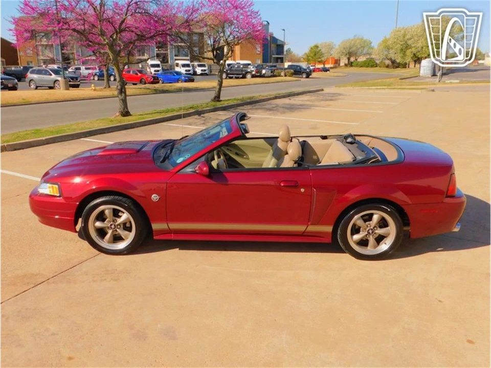2004 Ford SN95 Mustang - Image 11 of 31