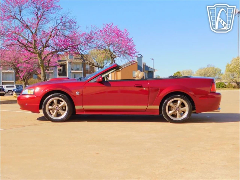 2004 Ford SN95 Mustang - Image 12 of 31