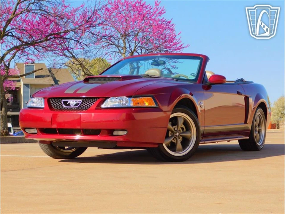 2004 Ford SN95 Mustang - Image 3 of 31