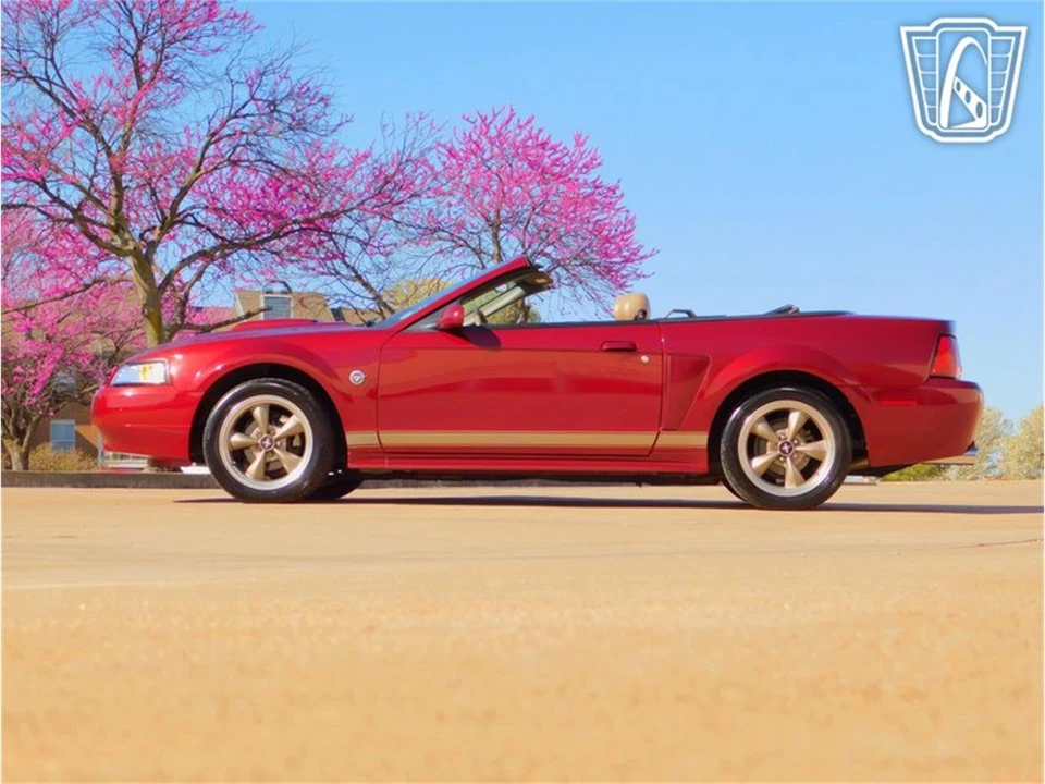 2004 Ford SN95 Mustang - Image 13 of 31