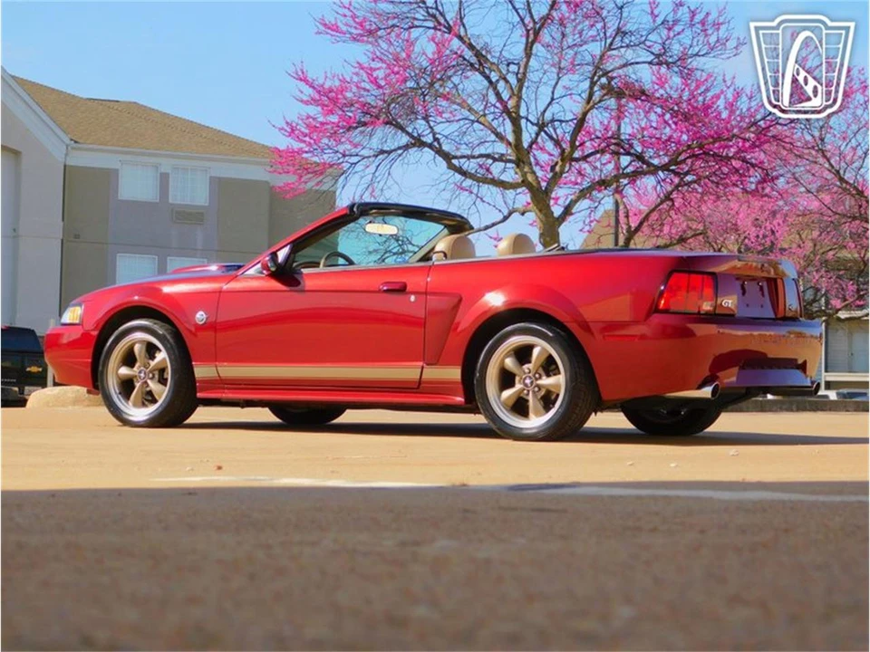 2004 Ford SN95 Mustang - Image 14 of 31