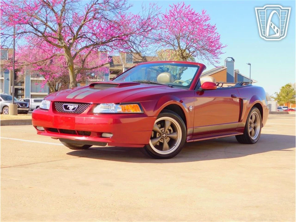 2004 Ford SN95 Mustang - Image 9 of 31