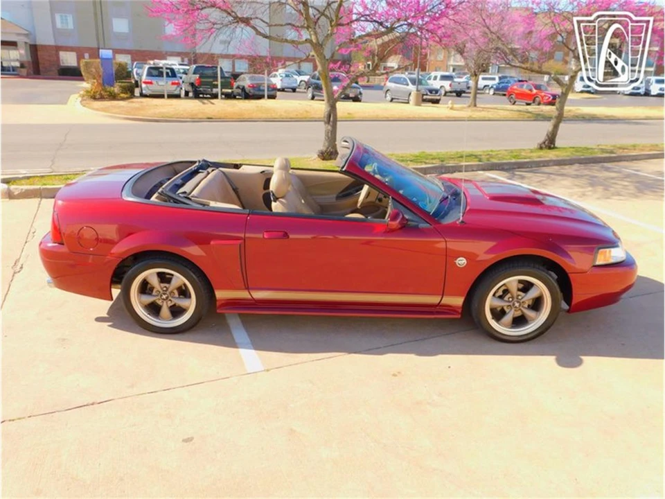 2004 Ford SN95 Mustang - Image 29 of 31