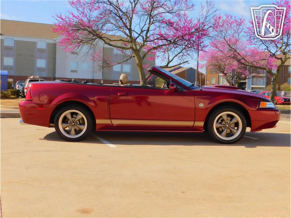 2004 Ford SN95 Mustang - Image 30 of 31