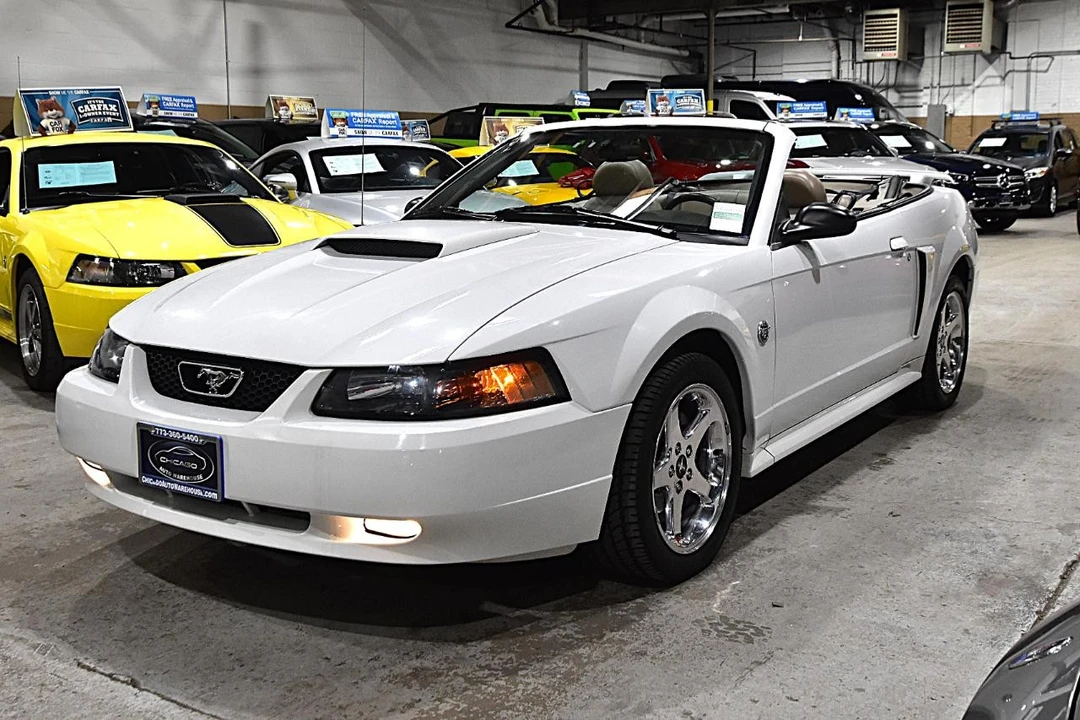 2004 Ford SN95 Mustang - Image 18 of 21