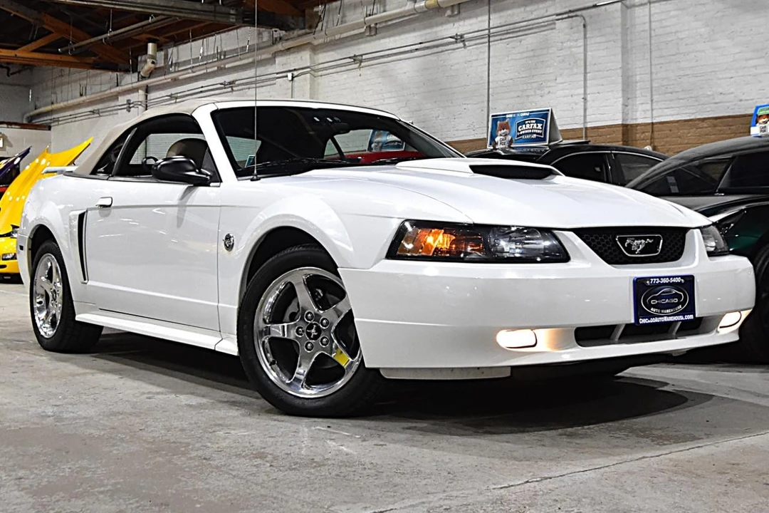 2004 Ford SN95 Mustang - Image 2 of 21