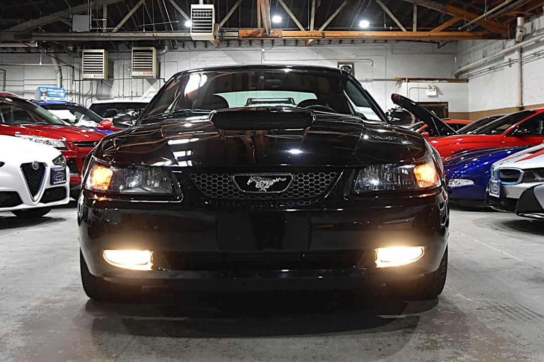 2004 Ford SN95 Mustang - Image 3 of 31