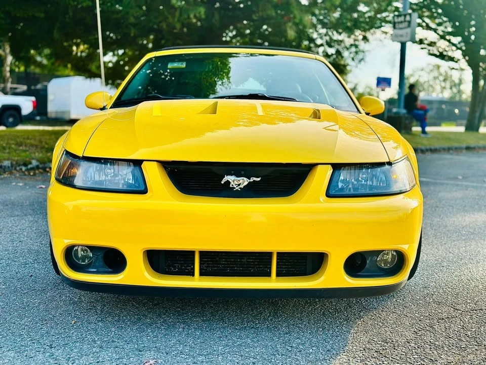 2004 Ford SN95 Mustang Cobra - Image 2 of 11