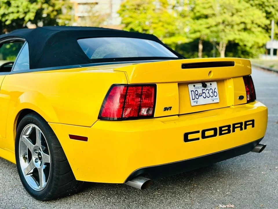 2004 Ford SN95 Mustang Cobra - Image 8 of 11