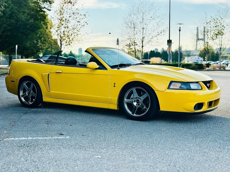 2004 Ford SN95 Mustang Cobra - Image 5 of 11