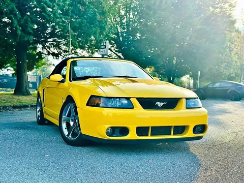 2004 Ford Mustang SVT Cobra Convertible