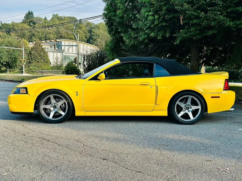 2004 Ford SN95 Mustang Cobra - Image 6 of 11