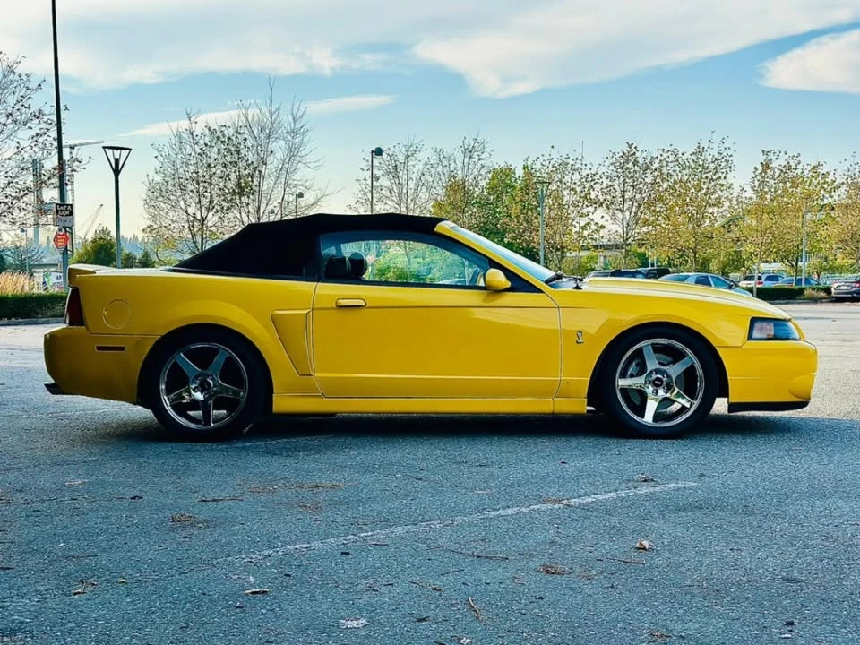 2004 Ford SN95 Mustang Cobra - Image 4 of 11