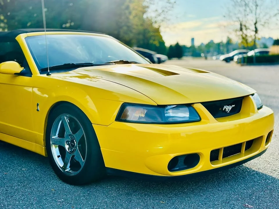 2004 Ford SN95 Mustang Cobra - Image 3 of 11
