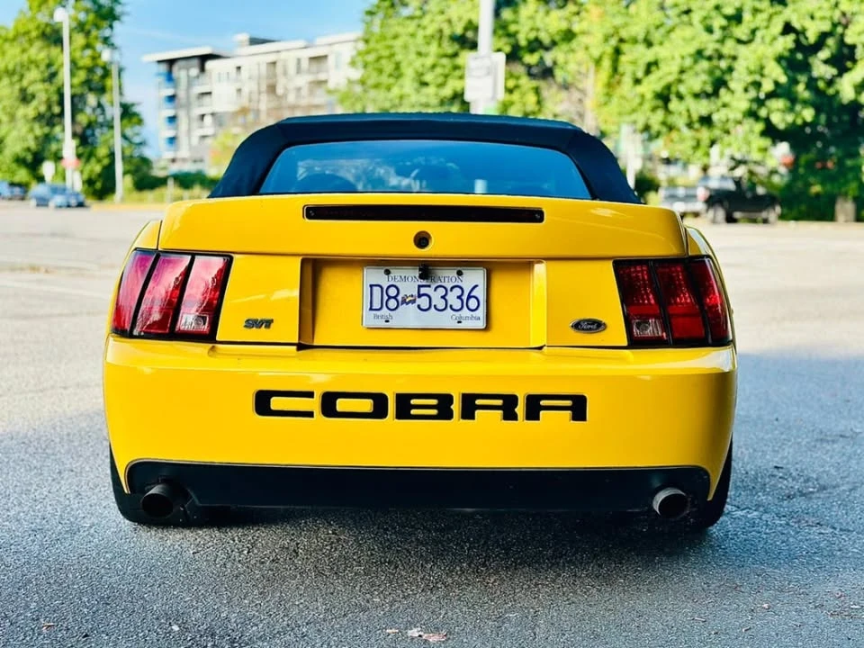 2004 Ford SN95 Mustang Cobra - Image 7 of 11