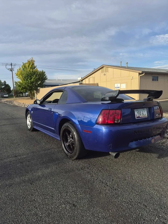 2004 Ford SN95 Mustang - Image 2 of 11