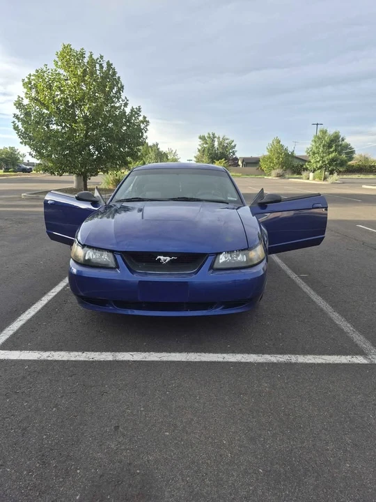 2004 Ford SN95 Mustang - Image 5 of 11