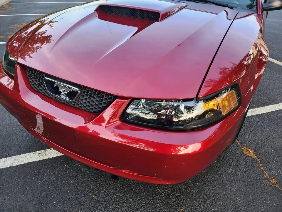 2004 Ford SN95 Mustang - Image 8 of 16