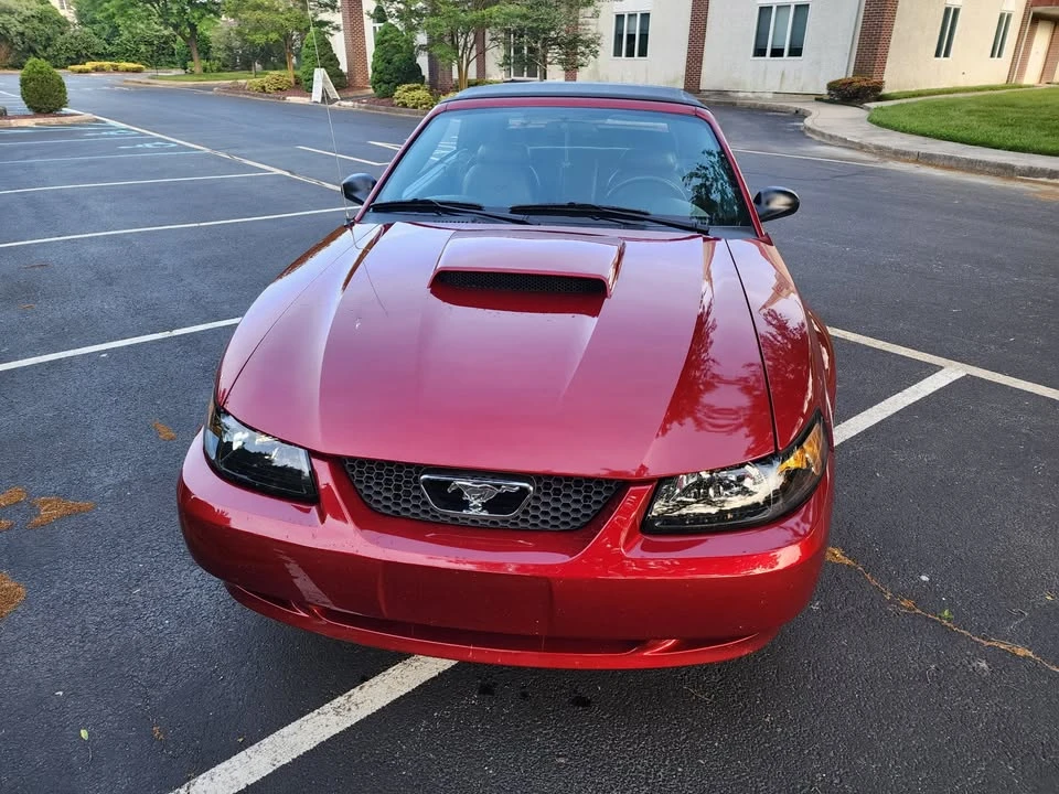2004 Ford SN95 Mustang - Image 7 of 16